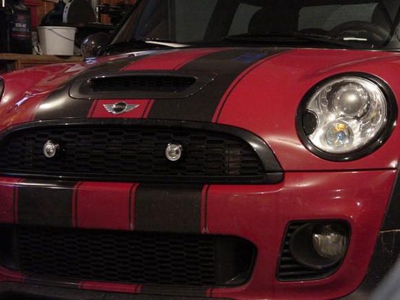 mini small hids in grill