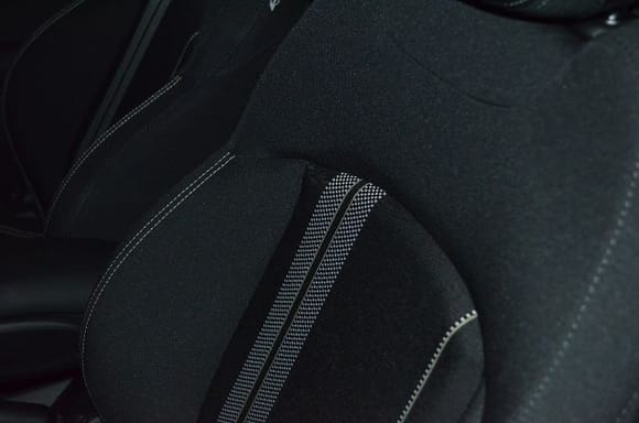 Cloth Double Stripe Seats