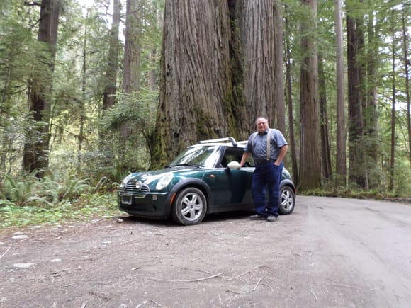 my 05 base model in the redwoods