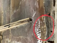 Check out the circled dent on the plywood strip where the deck was hard against it from the factory. It wouldn’t let the deck go down as far as it need to, I’ll be correcting that.