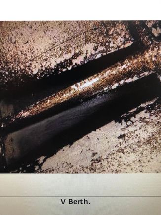 Oil under v-berth.
