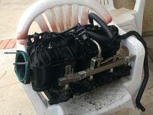 Tbss intake