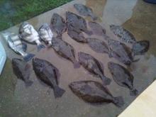 1121091707
