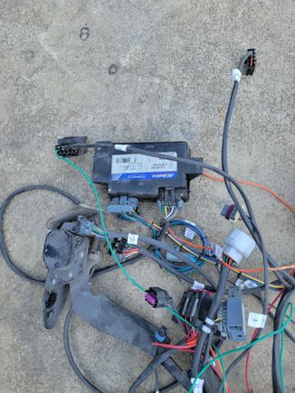  Throttle/pedal ECU and after market harness