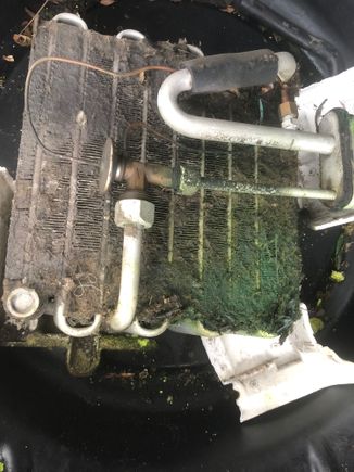 And a slight leak
