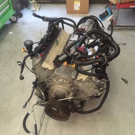 Tightened all the little stuff down, routed the harness, installed cooler lines, engine mounts, and ran new vent lines for the transfer case and trans.... Need one of the clips for the vent tubes an oil pressure sensor and possibly a starter i had to order one of the retainers for the trans cooler lines at the bottom of the bellhousing and a couple of odds and end bolts....