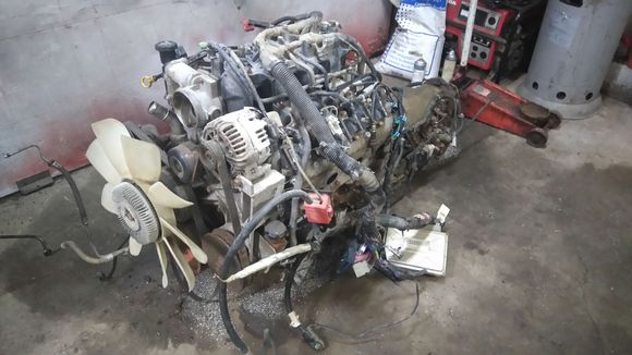 The new hart of the project. 6.0 lq4 , 4l80e