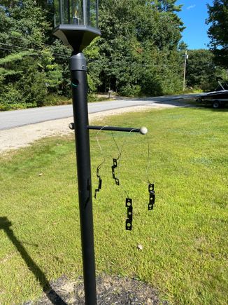 Using my wife's lamp post as a drying spot.