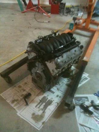 4.8 and ls6 intake with fuel rails injectors sensors and throttle body with ls1 accessories for sale