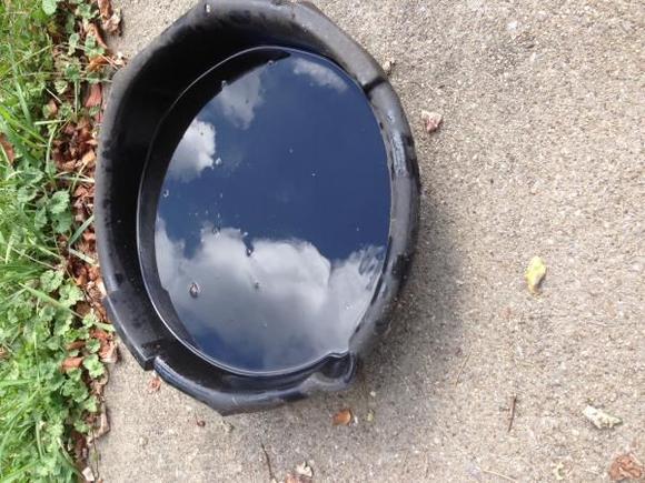 6L80 Transmission fluid after Nitrous shot and Converter slip.