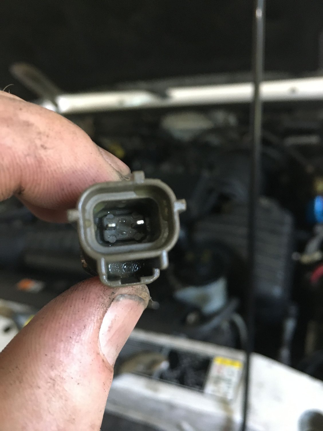 Temperature Gauge RangerForums The Ultimate Ford Ranger Resource