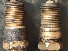 Left plug all look the same drivers side and the right plug all looks the same on the passenger side.