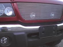 pic of my new lights behind the grille