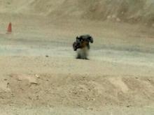 traxxas