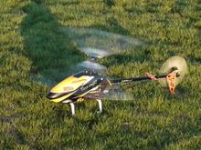 Trex 500 ESP FBL beastx