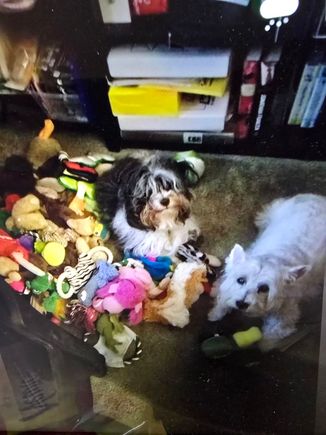 R.I.P. Wally and Kip . 