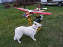 My dog photo bombing as usual.