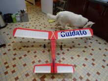 The Guidato is a model I've always wanted to build. it's an early radio model dating from 1957. It was obviously designed to be tough because radios were very unreliable in those days consequently it's quite heavy and it flies rather quickly. Note my dog photo-bombing.