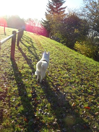 Does my tail look big in this?