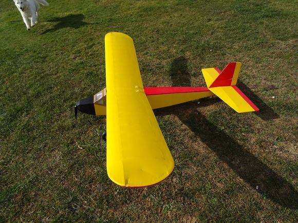 Francois' Radio Queen.