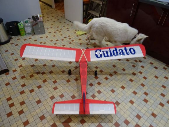 The Guidato is a model I've always wanted to build. it's an early radio model dating from 1957. It was obviously designed to be tough because radios were very unreliable in those days consequently it's quite heavy and it flies rather quickly. Note my dog photo-bombing.
