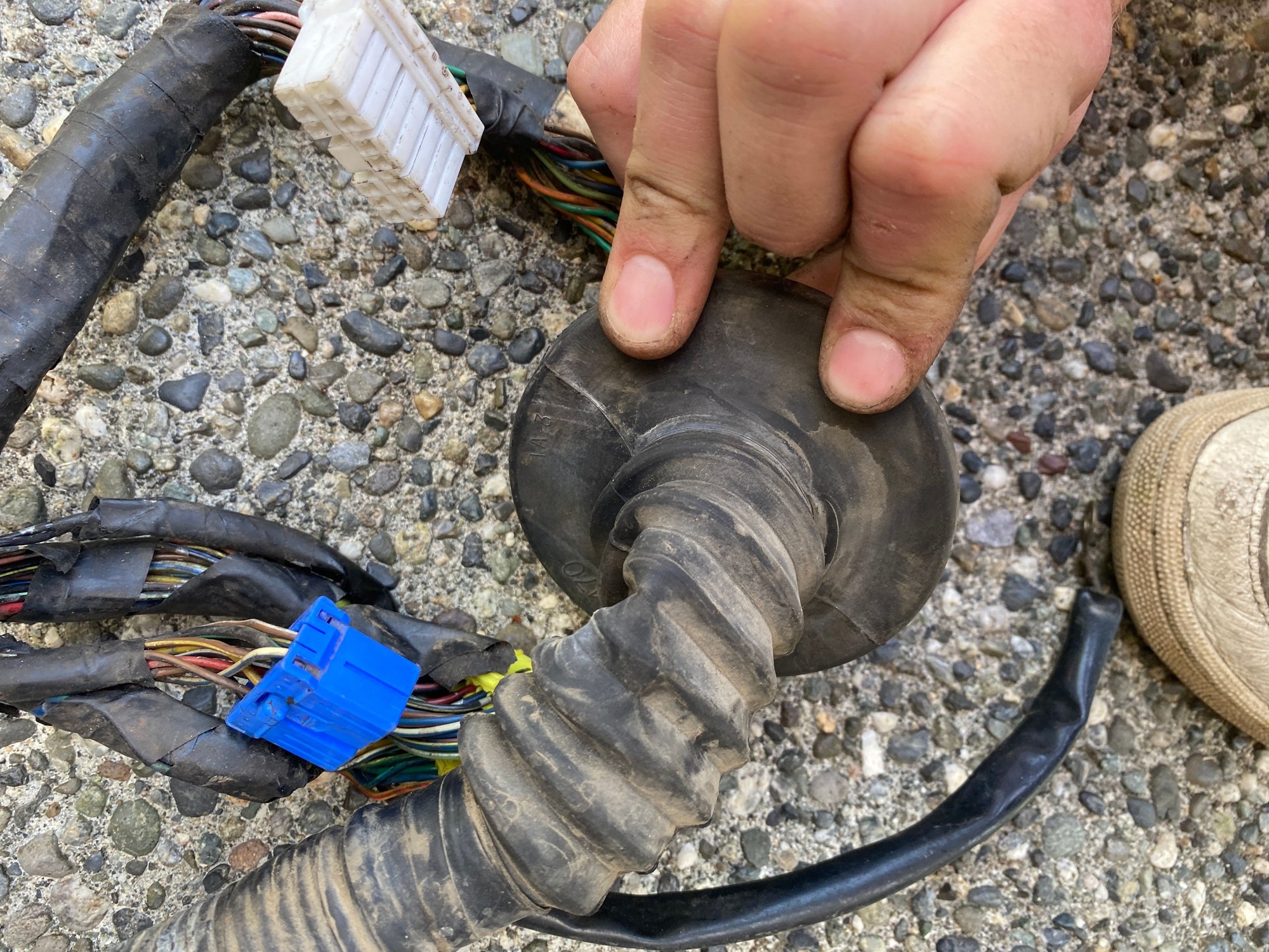 Engine - Electrical - JDM engine harness 92-95 - Used - 1992 to 1995 Mazda RX-7 - Bothell, WA 98012, United States