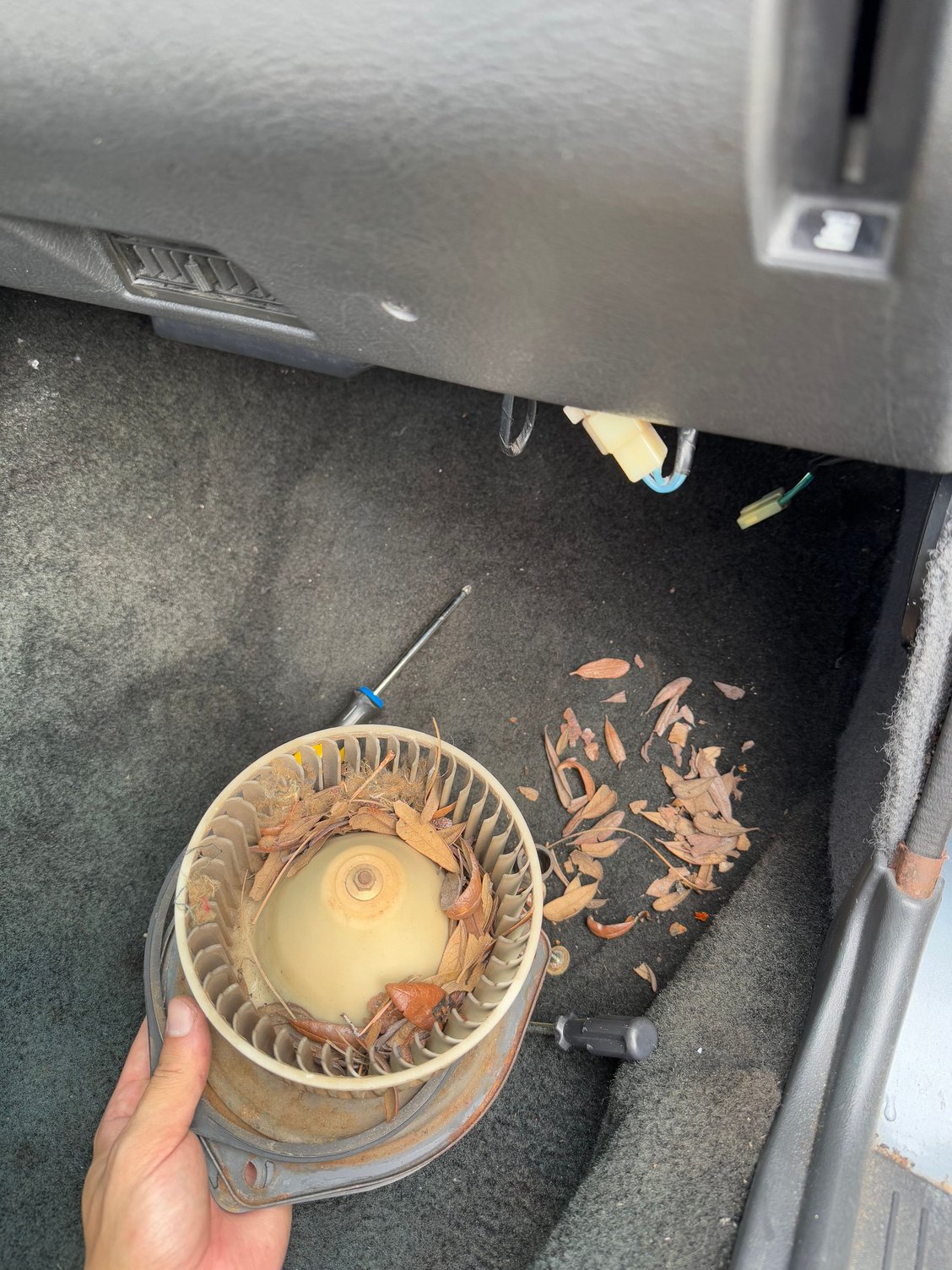 Probably 40 years of never being cleaned