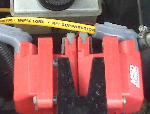 msd coils