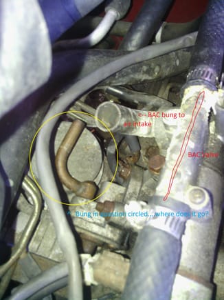 Better picture.  You can see in this one the BAC valve, with the hose leading to the intake removed for greater clarity.  The bung in question is circled in yellow.  Anyone have any idea as to where it is supposed to route to?
