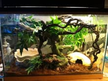 Pennywises Tank