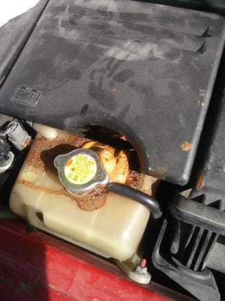 Brown engine coolant coming out of container