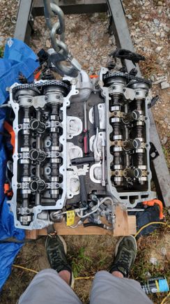 Looks good under the valve covers