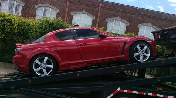 Loaded up on the truck. We spun the wheels trying to get it up the ramp. Under my car was a GORGEOUS 2003 Corvette Z06. Not a scratch on it. Less than 10k miles, too! Unreal.