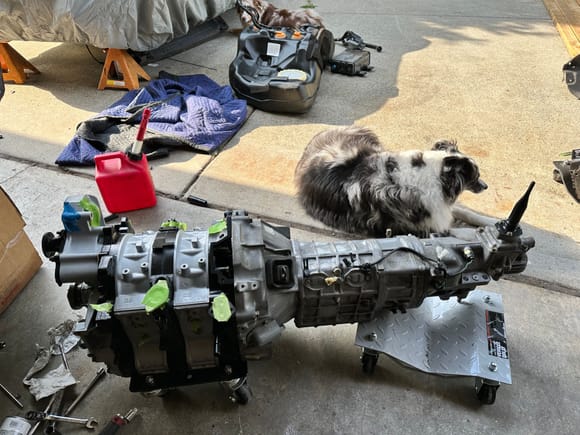 I have many helpers but sometimes they choose not to help. Ready to go into the car. Im still missing a clutch/flywheel but I need to start mocking and modifying stuff.