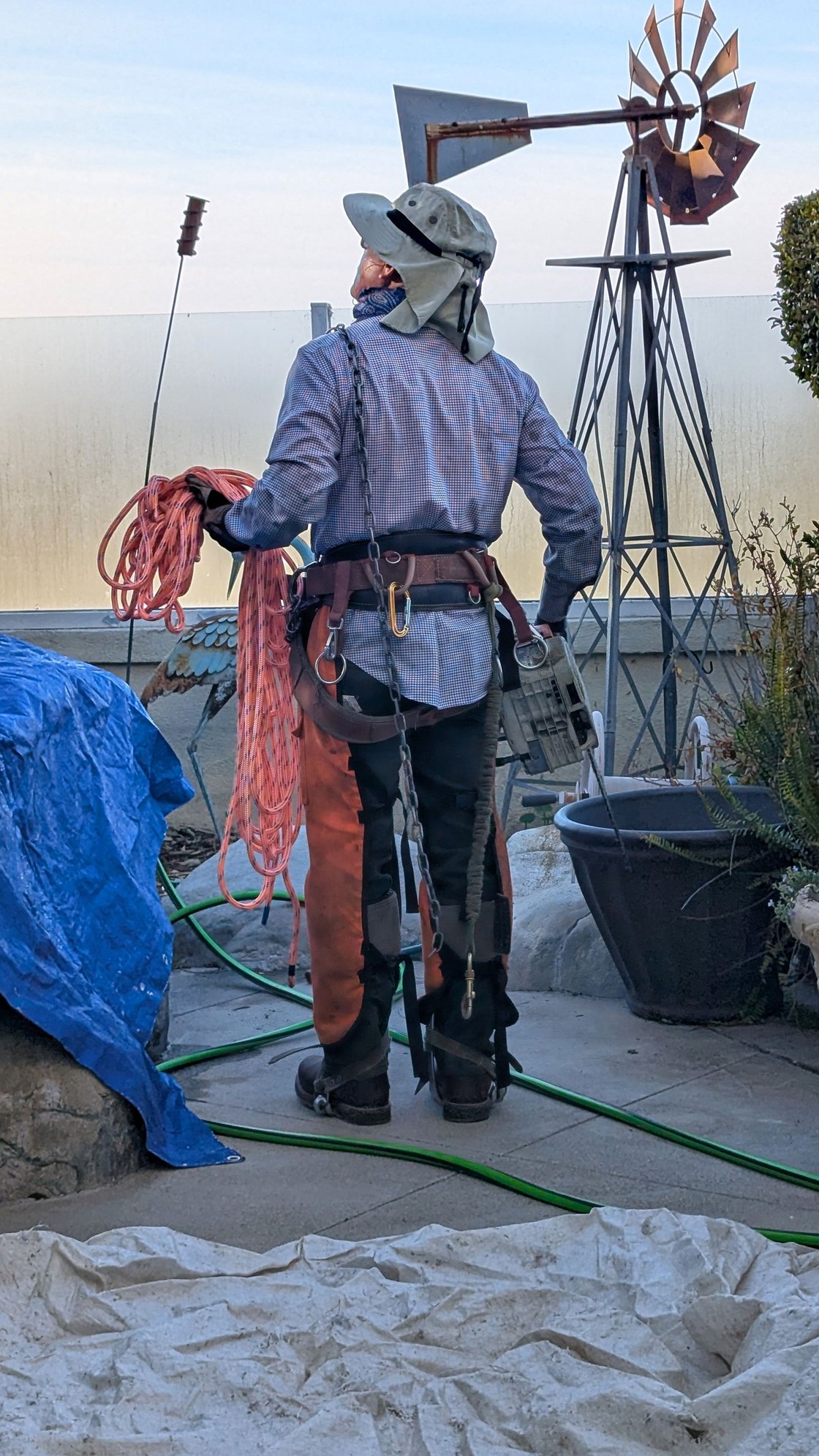 ^1-20-2025.  Bertin.  He's an awesome business man.  He's and his men have been trimming my palms for years.  