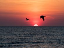 Sunset near Cape May, NJ