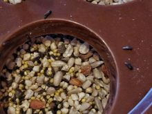 The special blend I bought at a feed store in Fort Collins, CO.