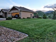 My bigger lawn.  There's a smaller one out side of the walkout basement.  

