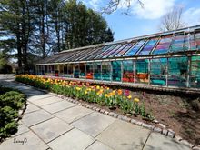 The colored panes were an art project
