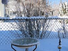 Heated bird bath. In too deep for good cleaning, so just splashed some water in. 