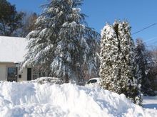 Yep, snow!