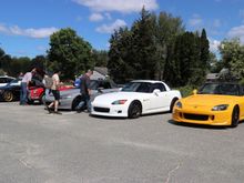 Lots of hardtops