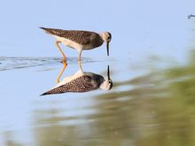 Good thing the signature is there so if it is ever sold it won't get hung upside down.