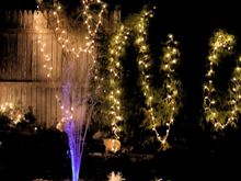 My neighbor did a nice job with lights in his back yard. Saw me outside his fence and invited me into the yard.  He did a nice display around a little fountain.