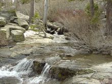 DSC01219.JPG