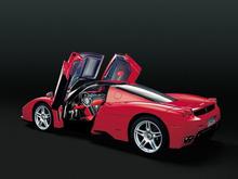 enzo3.jpg