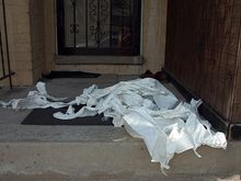 detail_day_041704_12.jpg