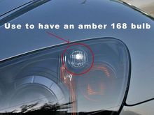 amber_050804_show.jpg