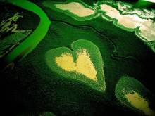 heart.jpg