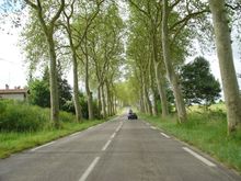 DSC00105.jpg